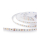 12 volt 5m LED Streifen 9,6W/m 120LED/m 8mm IP20 120 smd pro M (1080 lumen/m)