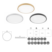 32 Watt LED Deckenleuchte IP54 für innen und Außen | rund | Ø 400 x 60mm (B. x H.) | 2560 Lumen